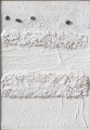 Monocromo bianco
