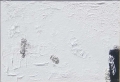 Composizione bianca di materia