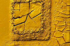 Monocromo giallo