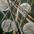 Variaziomi 17